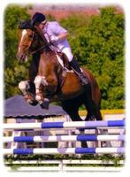 Bienvenue aux écuries